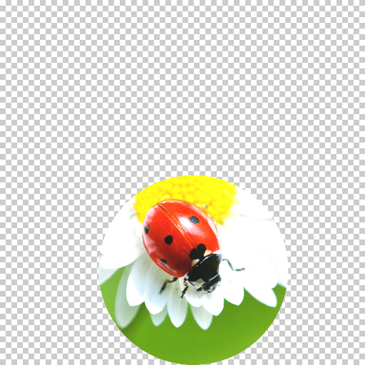 Variation 3