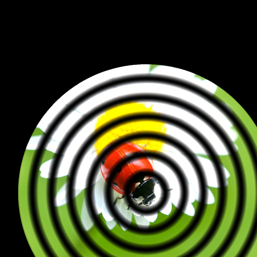 Variation 5