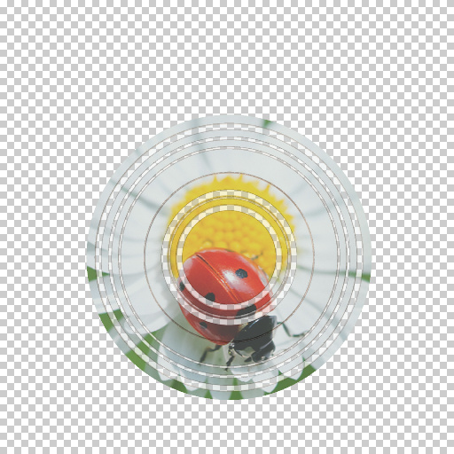 Variation 7