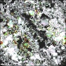 Chaotic Color and Collage