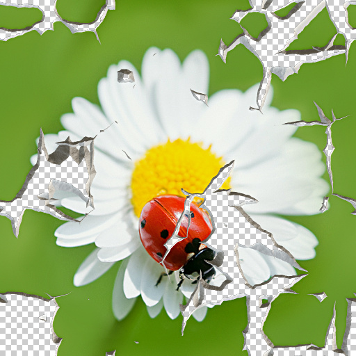 Variation 1