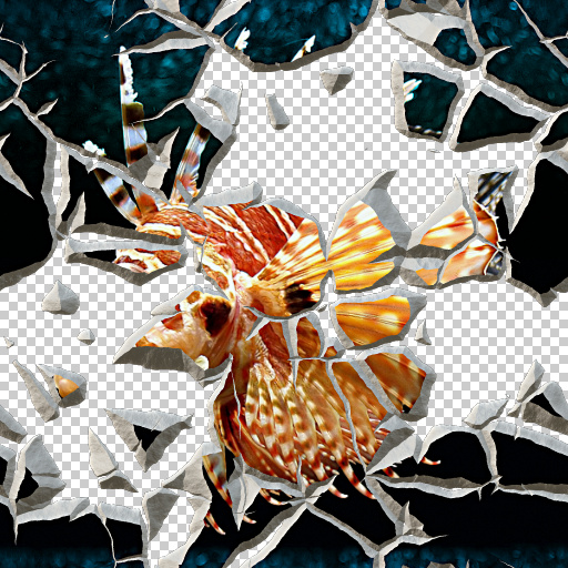 Variation 8