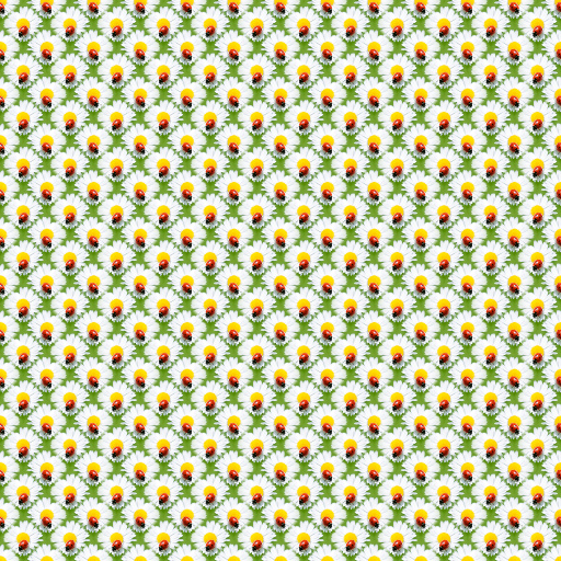 Variation 4
