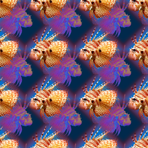 Variation 6