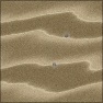 Rocky Sand Waves