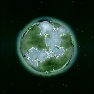 Foreign Planet