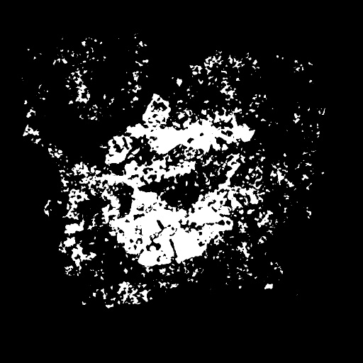 Variation 1
