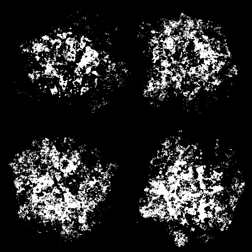 Variation 3