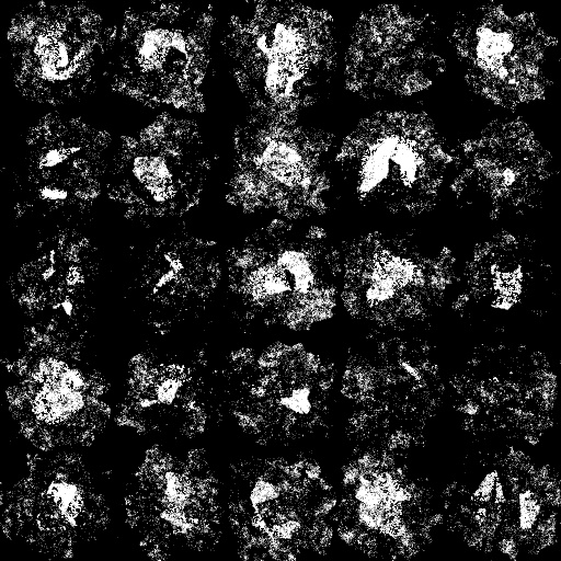 Variation 7