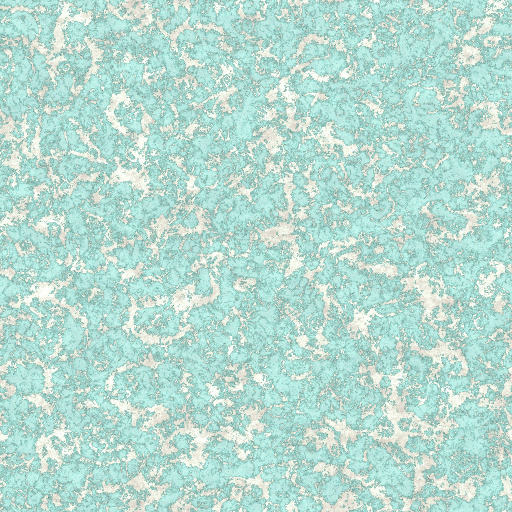 Variation 7
