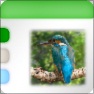 Filter Forge Custom Icon