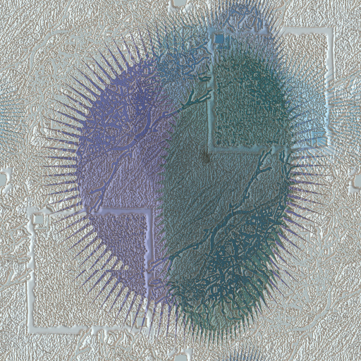 Variation 7