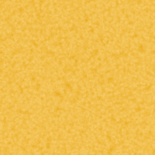 Diffuse Map