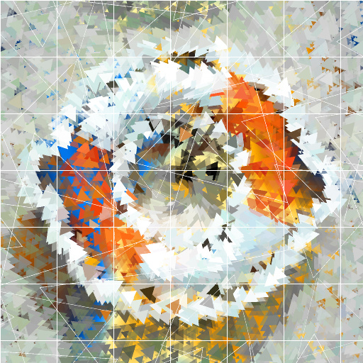 Variation 4