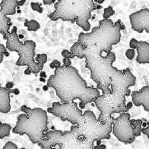 Ambient Occlusion Map