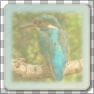 Universal Icon Maker