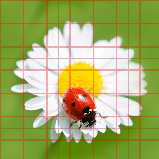 Variation 6