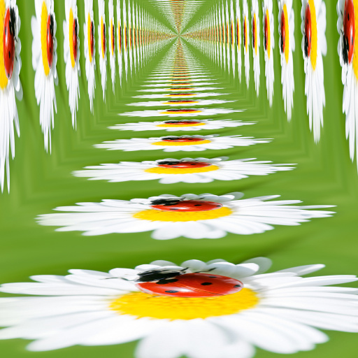 Variation 6