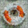 Nanosphera 2