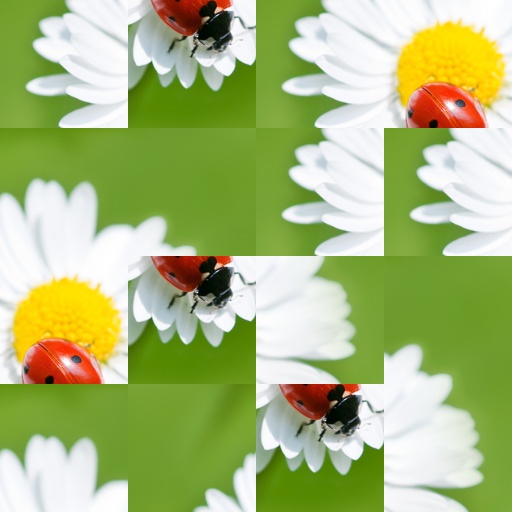 Variation 4