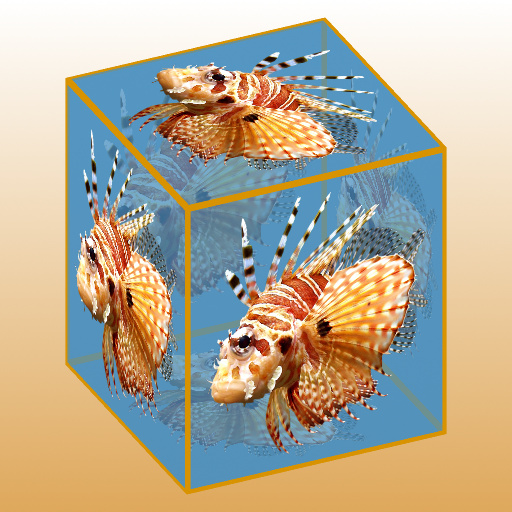 Image Cube (Effect)