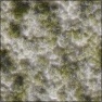 SGAlienFlesh1