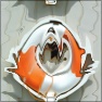 Liqueidescope