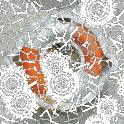 Variation 7