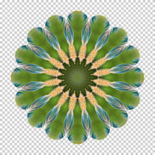 Variation 2