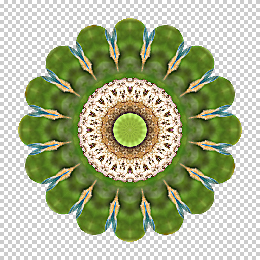 Variation 3