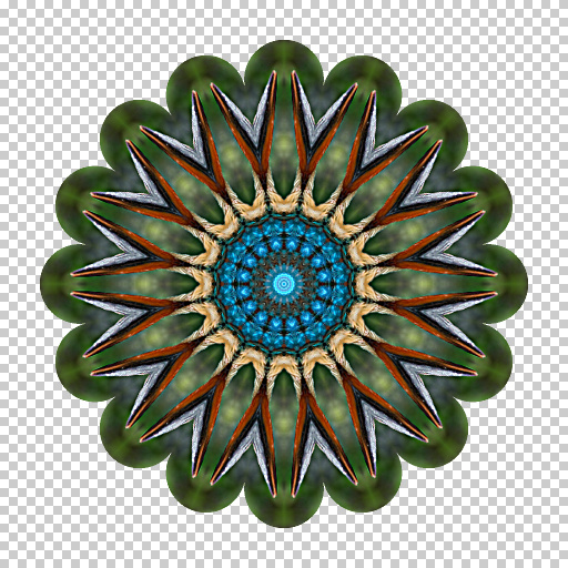 Variation 4