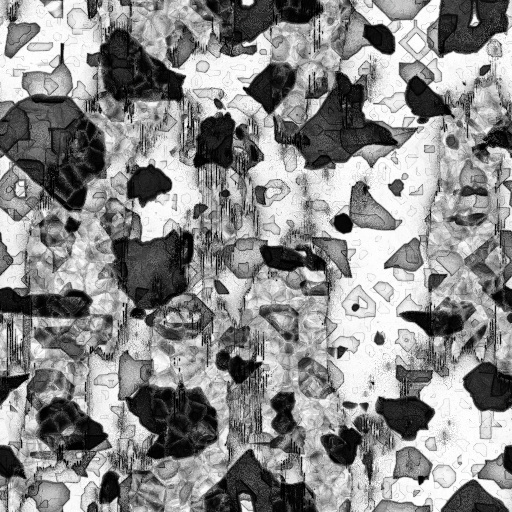 Ambient Occlusion Map