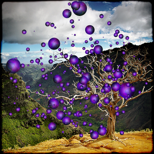 Variation 1