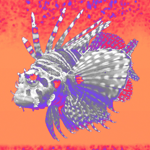 Variation 8