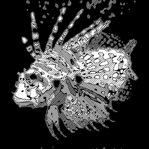 Variation 8
