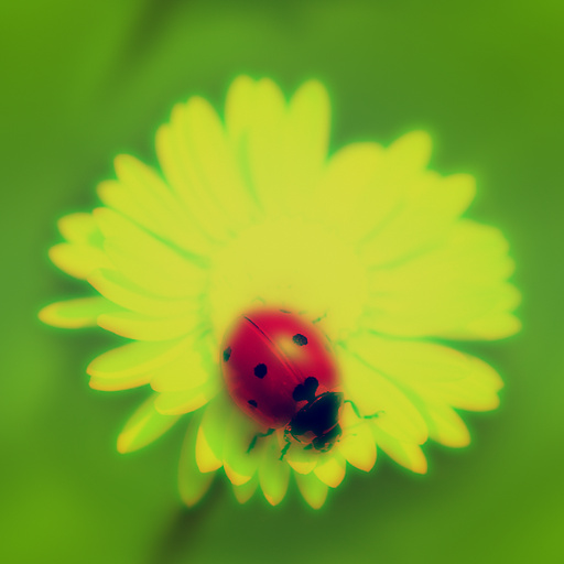 Variation 2