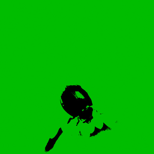 Variation 4