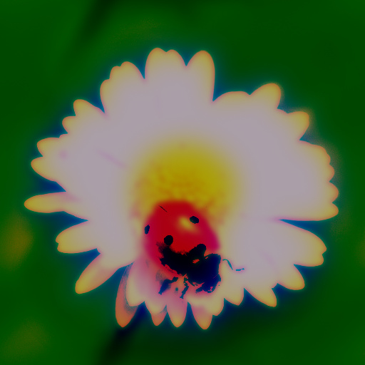 Variation 6