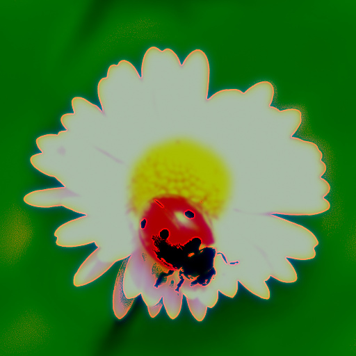Variation 8