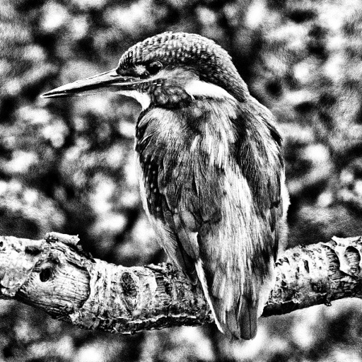 Variation 5