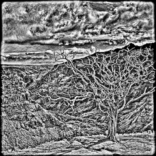 Variation 8