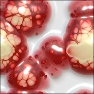 Brain Jelly Cuisine