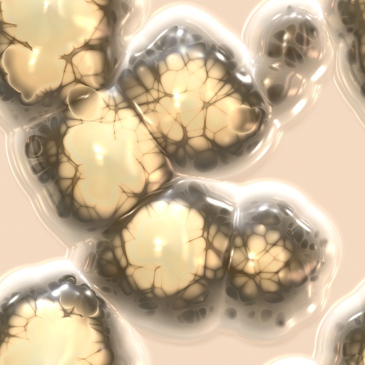 Variation 8