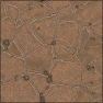 Cracked Ground with Rocks