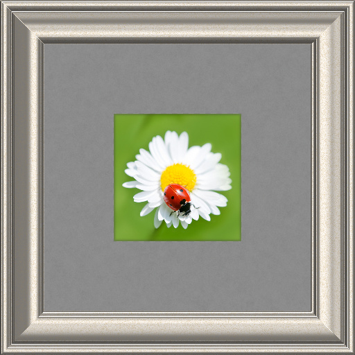 Variation 3