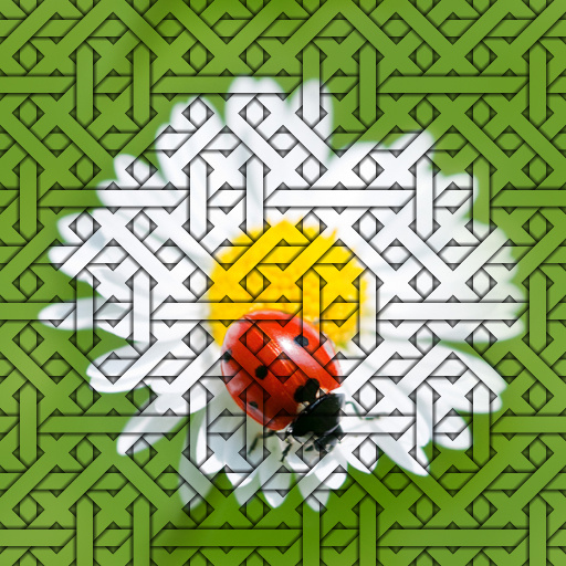 Variation 8