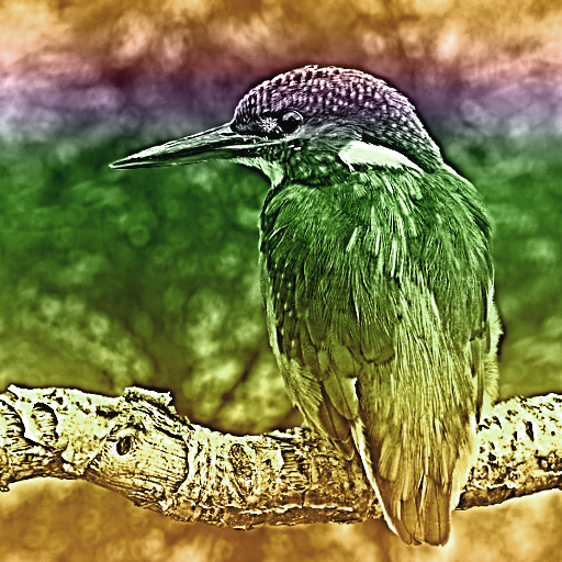 Variation 2