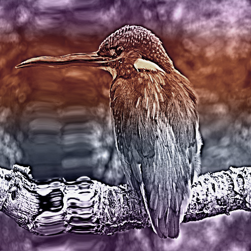 Variation 8