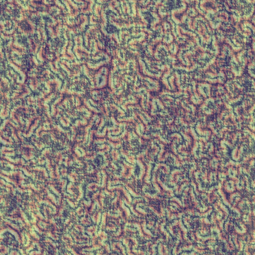 Variation 4