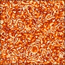 Cellulitis